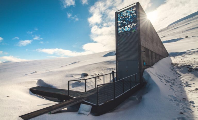 Ecos Eternos: la bóveda global de semillas en Svalbard
