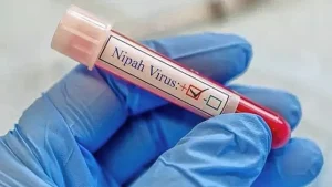 Alerta en Kerala, India: Reaparición del virus Nipah tras muerte de un adolescente